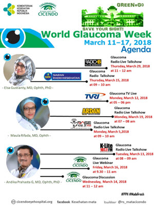 Webinar about Glaucoma for ophthalmologist, Speaker Andika Prahasta, MD, Ophth, PhD