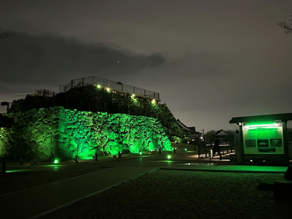 Light-up in Green 2023_Japan