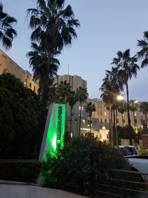 'Light-up in green. Facade of the Ophthalmology Department, University Hospital and Faculty of Medicine, UANL