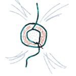 Stand Against Glaucoma 2026